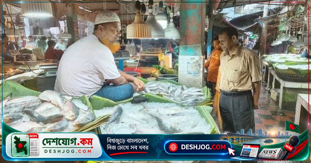 যশোরে ভারতীয় ইলিশ 'বরিশালের ইলিশ' নামে বিক্রি: ব্যবসায়ীদের অভিযোগ স্বাদ ও গুণগত মান কম