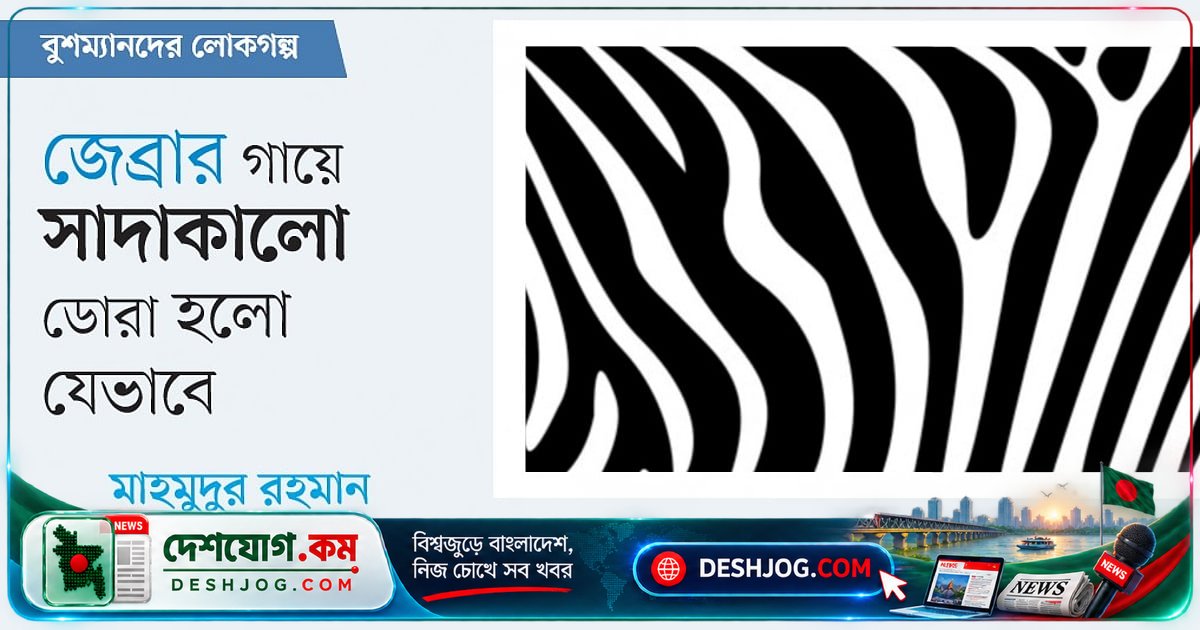 জেব্রার গায়ে সাদা-কালো ডোরার গল্প: বুশম্যানদের লোককাহিনি যা শিশুদের শিক্ষা দেয়